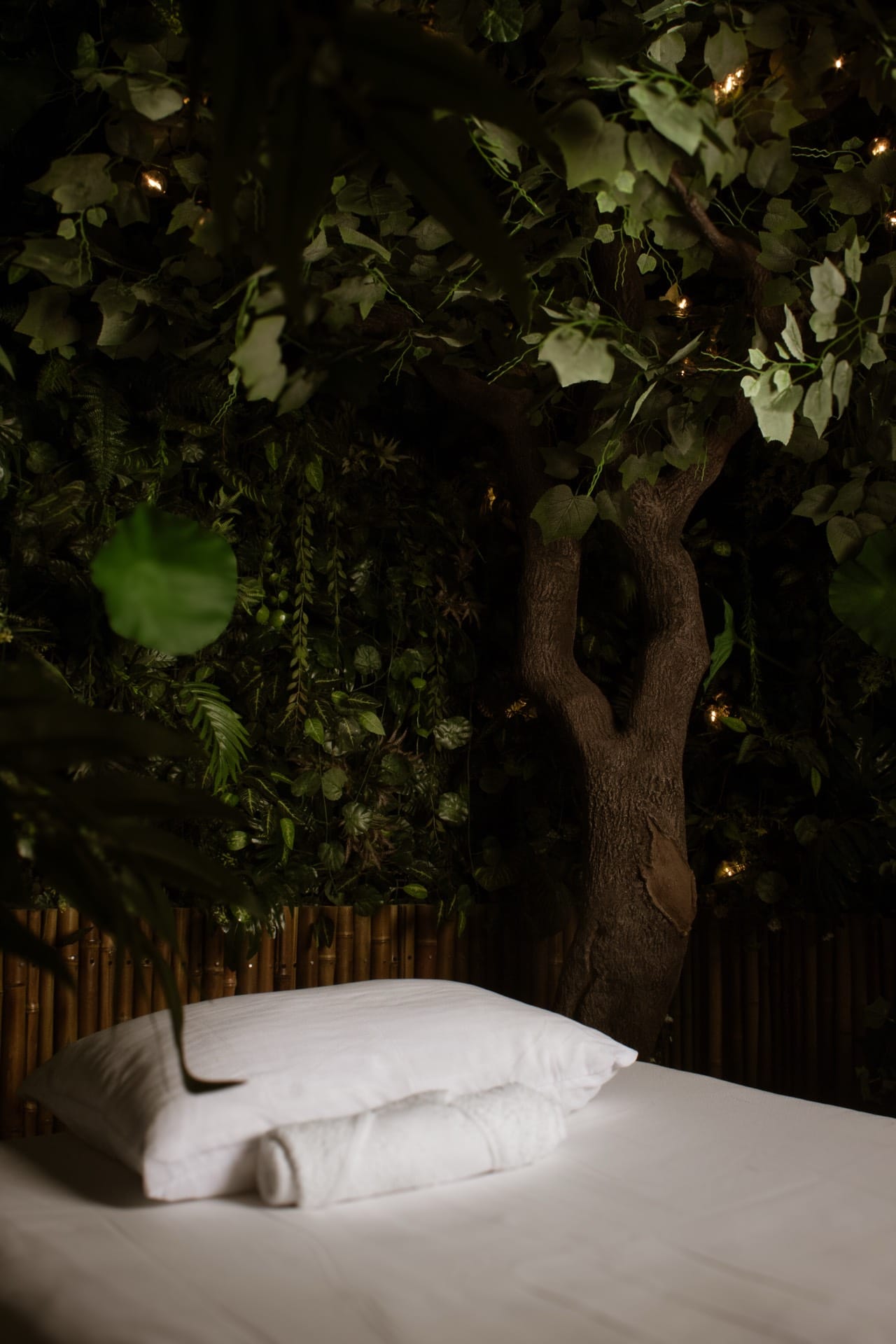 Bajo el árbol · Ambiente Amazónico