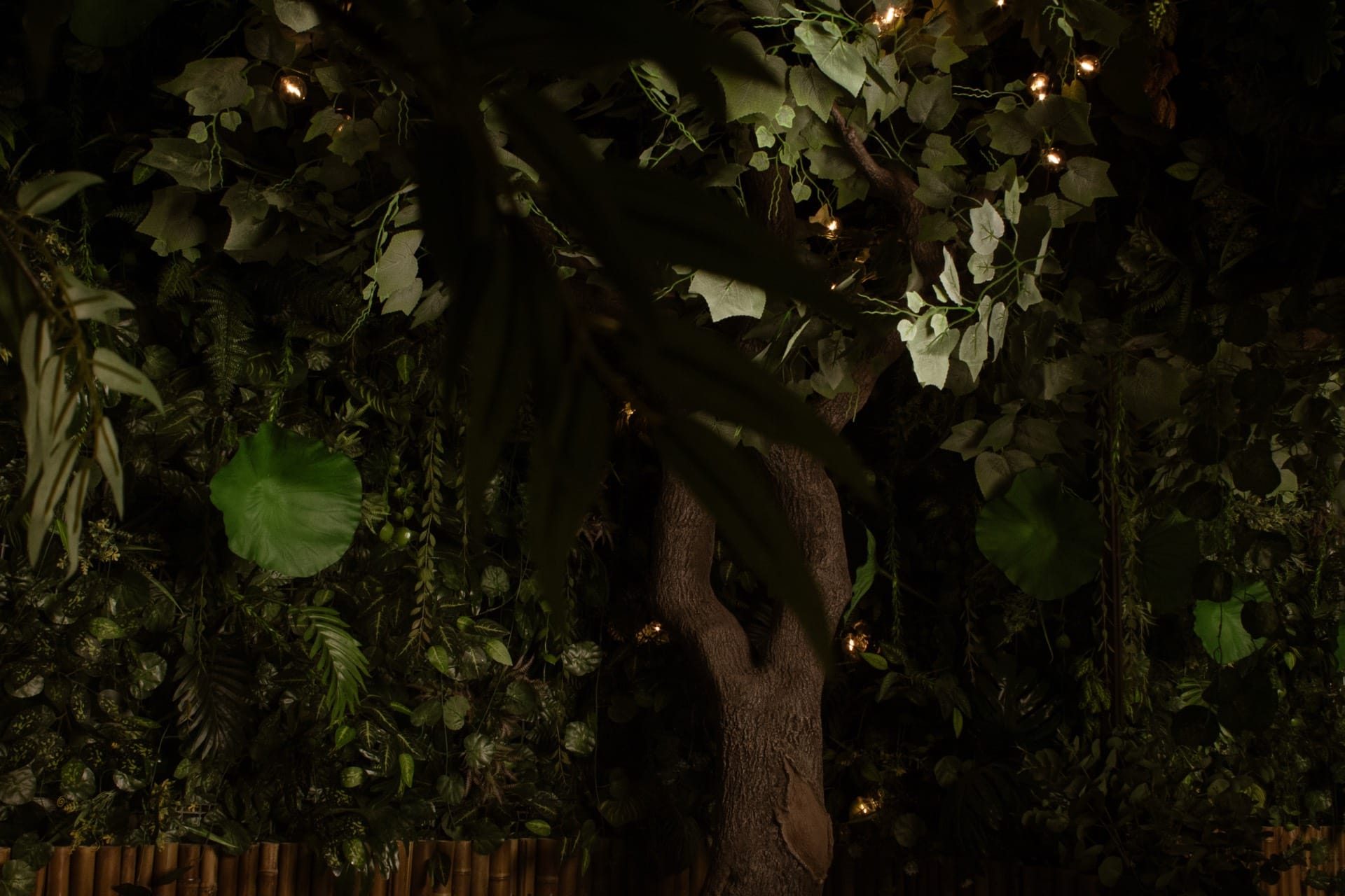 Selva interior · Muro verde